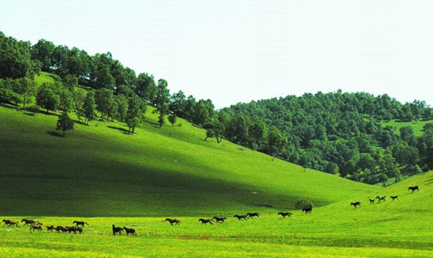 寶雞關山牧場真人CS項目